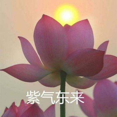 成语纳贤记全部答案解锁版下载